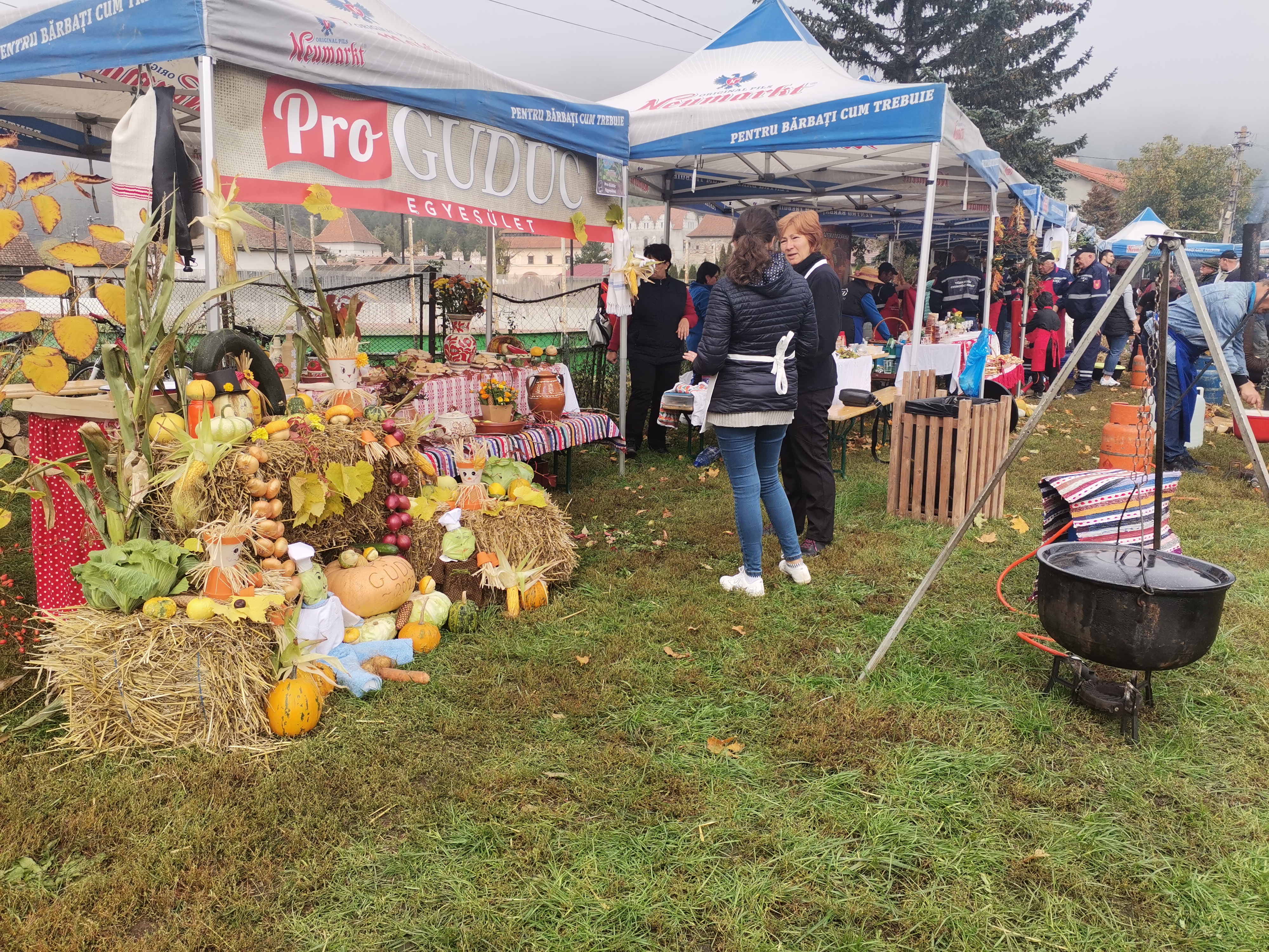 Barabás-Pál Hajnalka